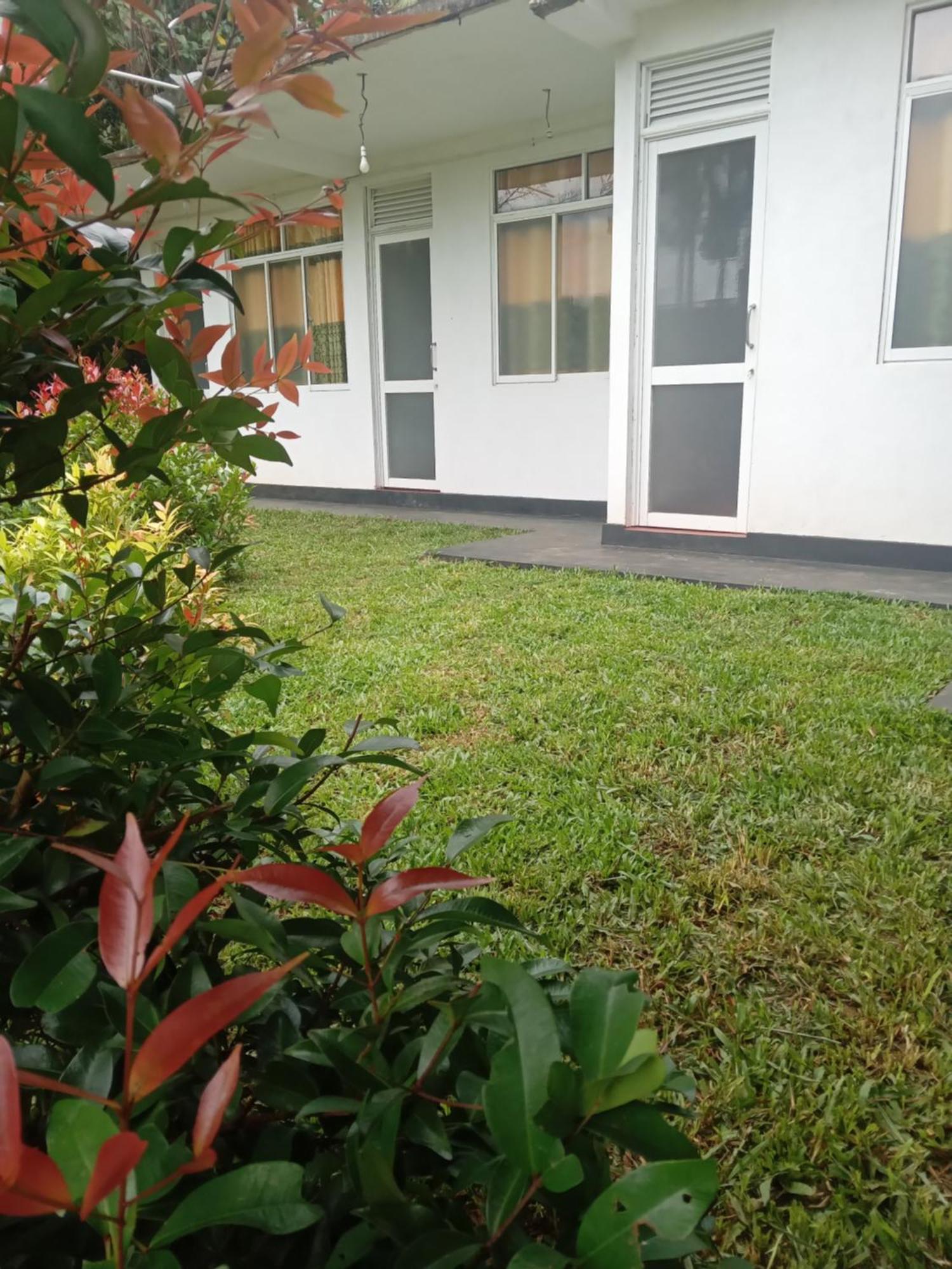 Rainforest Holiday Inn เดนิยายา ภายนอก รูปภาพ