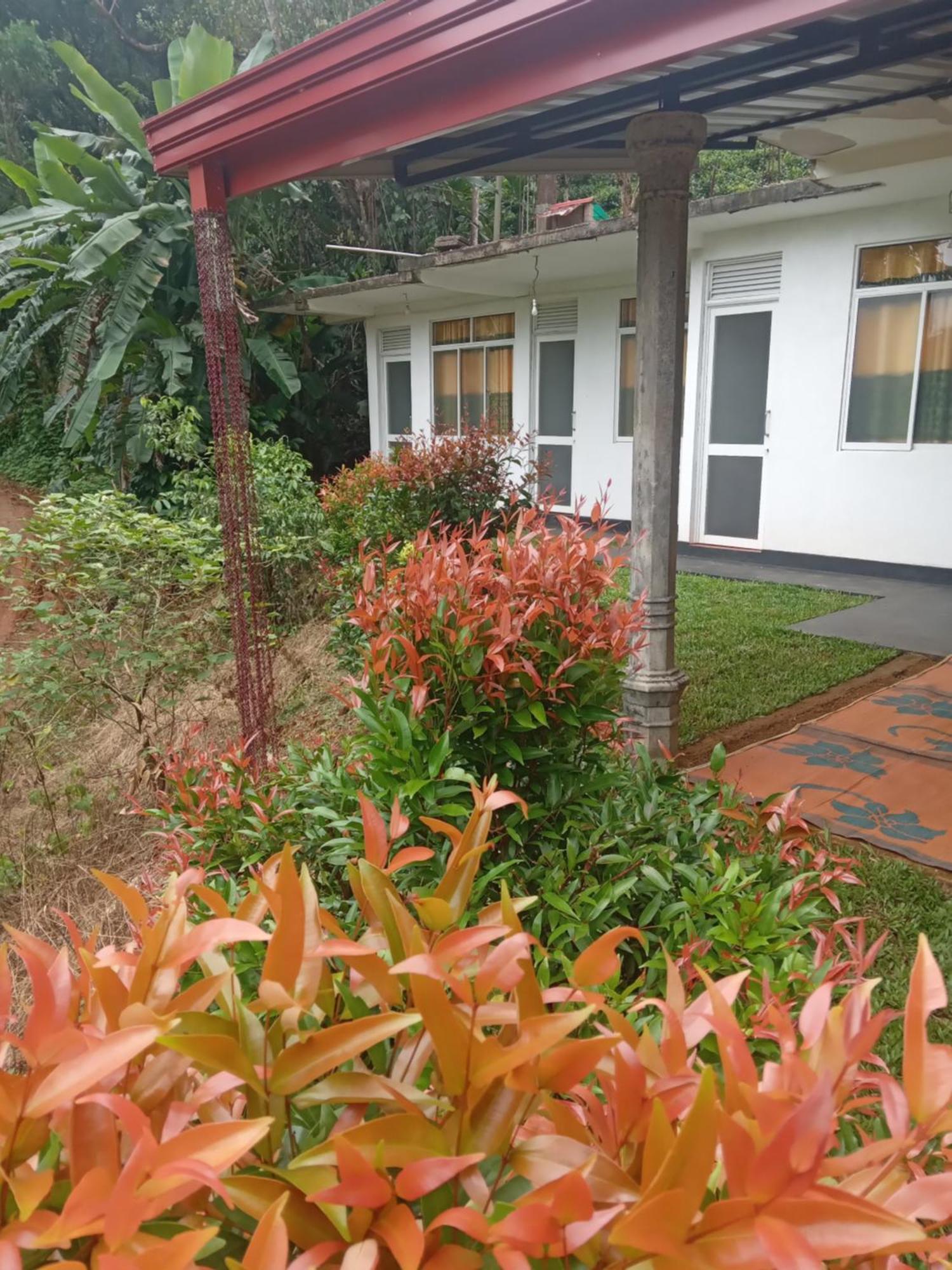 Rainforest Holiday Inn เดนิยายา ภายนอก รูปภาพ