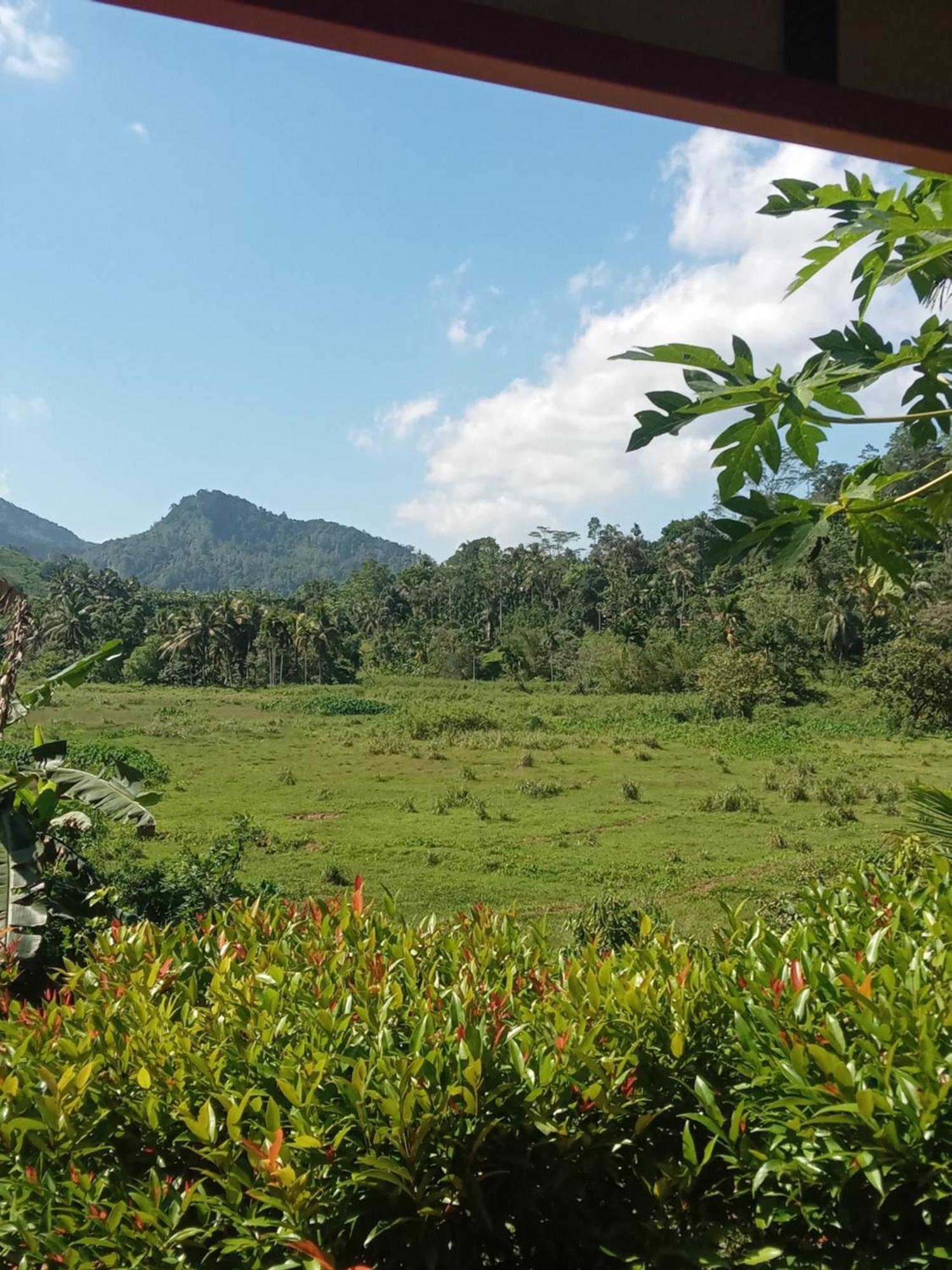 Rainforest Holiday Inn เดนิยายา ภายนอก รูปภาพ