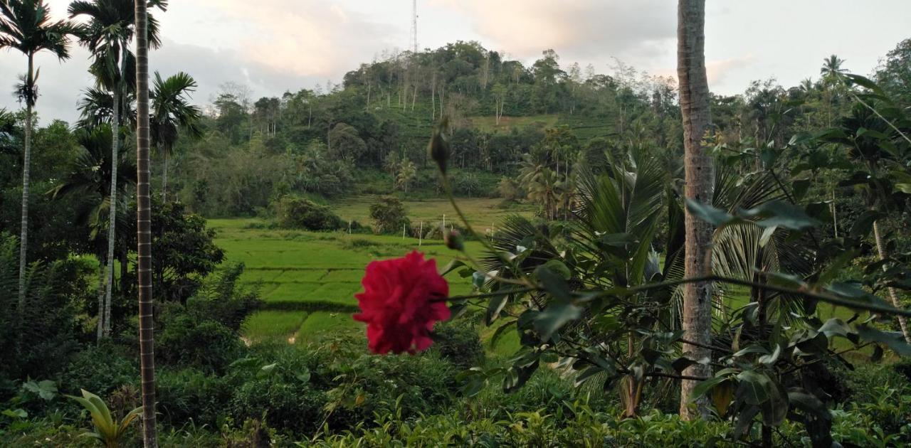 Rainforest Holiday Inn เดนิยายา ภายนอก รูปภาพ